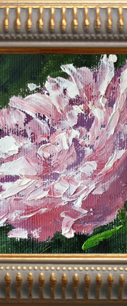 Peony 03...framed / FROM MY A SERIES OF MINI WORKS / ORIGINAL OIL PAINTING by Salana Art Gallery