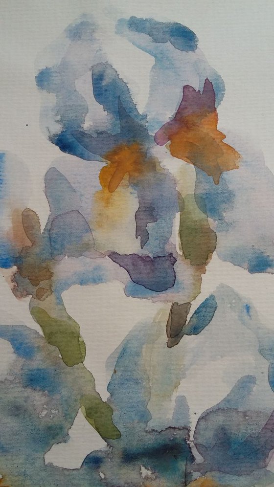 Blue iris