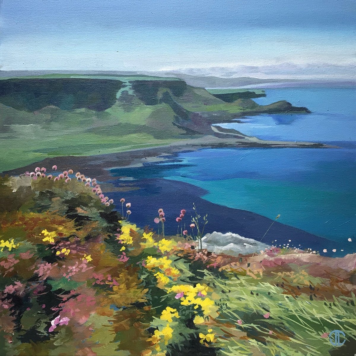  Spring Flowers On The Antrim Coast By Joseph Lynch, 20 X 20, Artwork For Sale On Artfinder