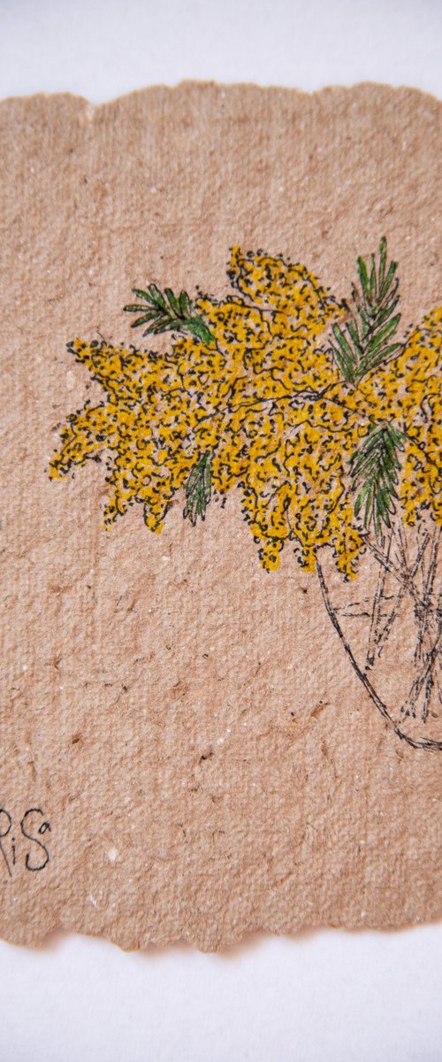 Mimosa bush drawing on paper by Rimma Savina