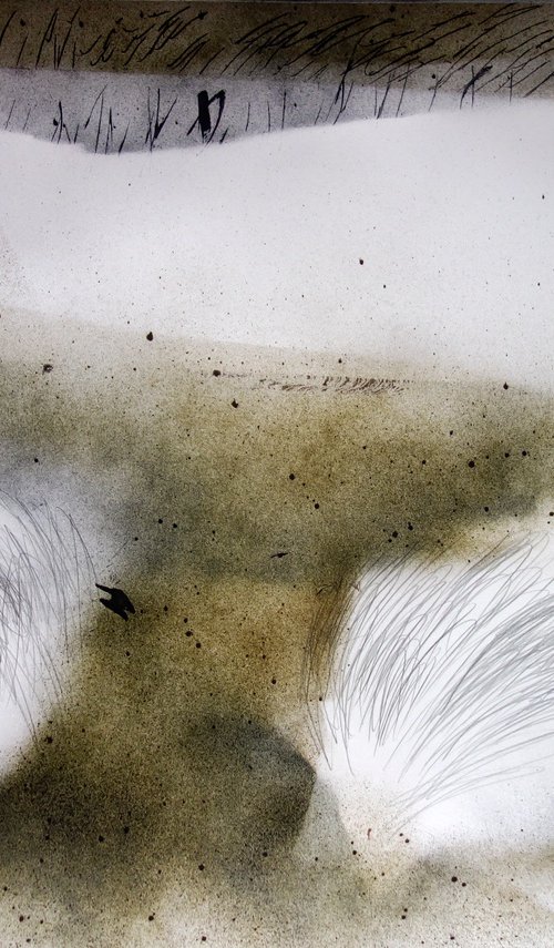 Grass 3 by Elizabeth Anne Fox