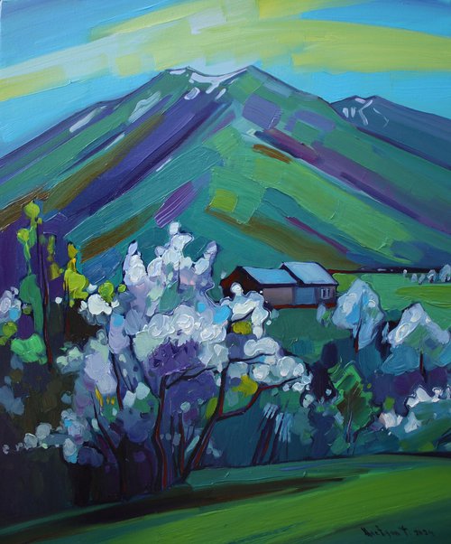 Spring in the mountains by Tigran Avetyan