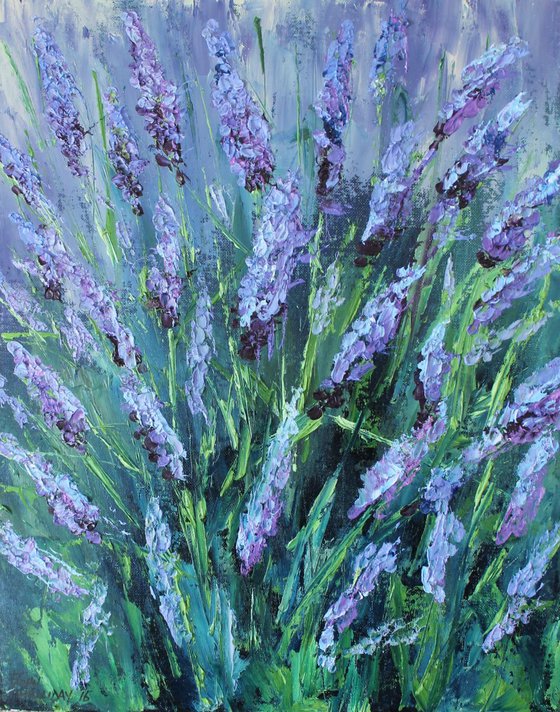 Lavender in bloom