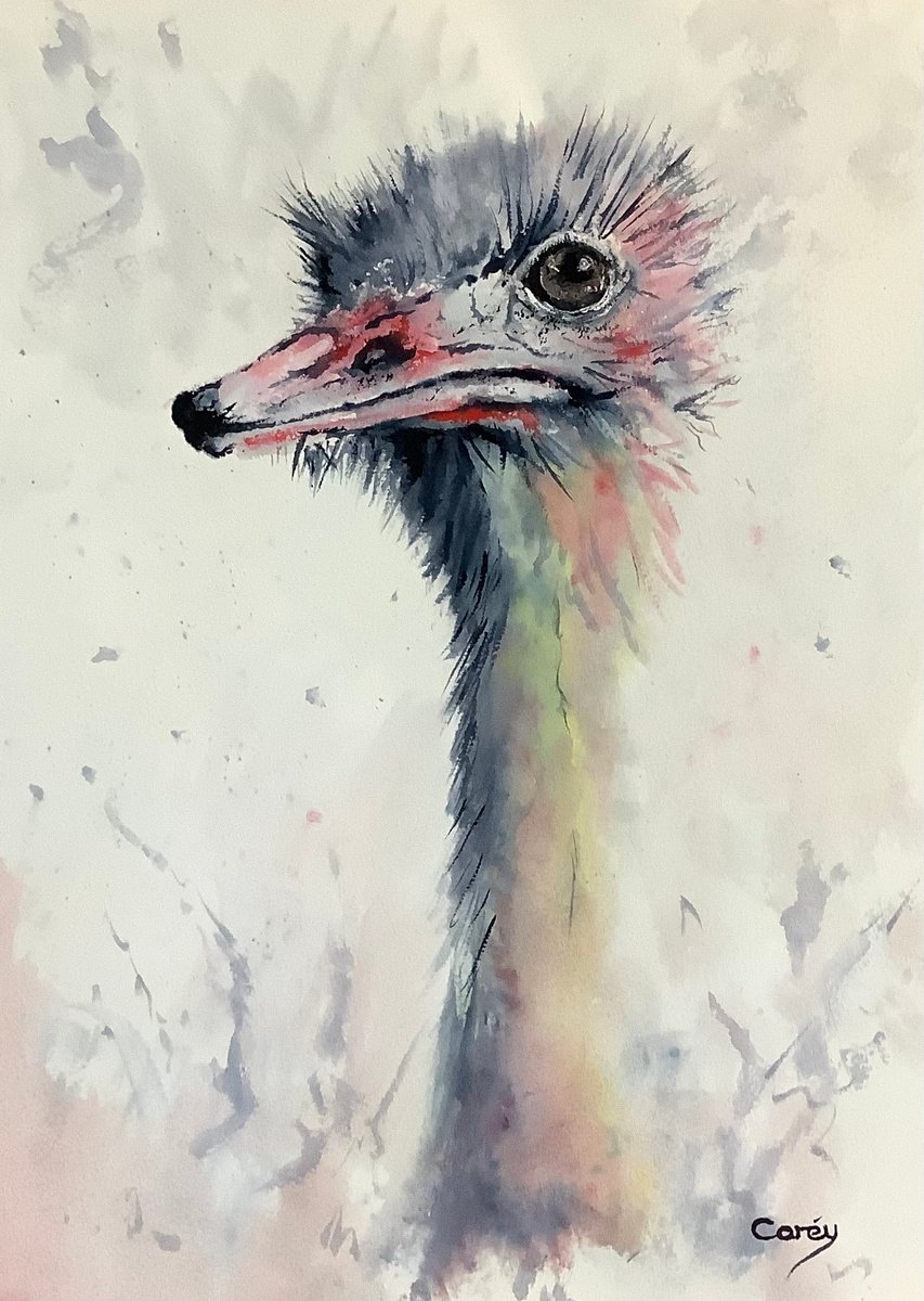 Ostrich by Darren Carey