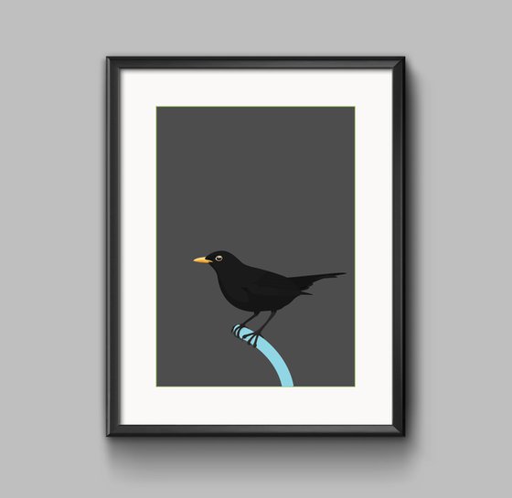 Solitary Blackbird