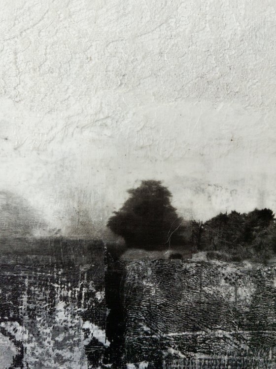 Vicinity