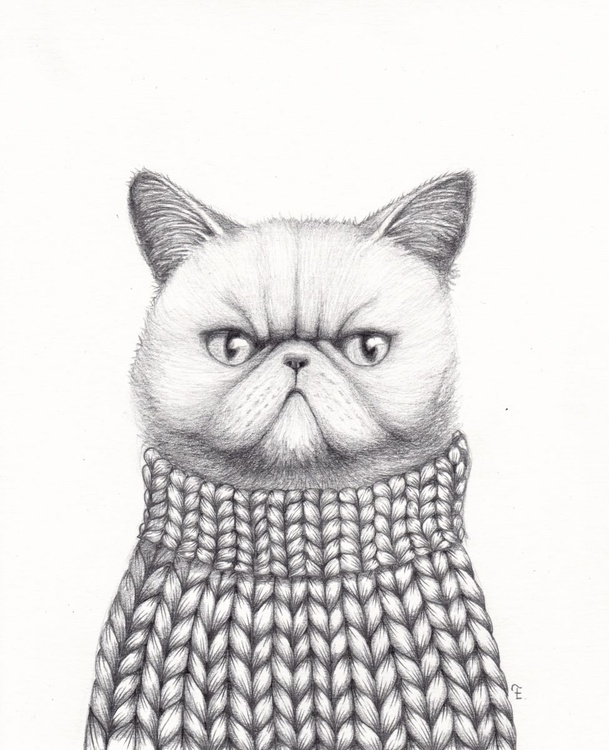 Chat En Pull Pencil Drawing By Eva Fialka Artfinder