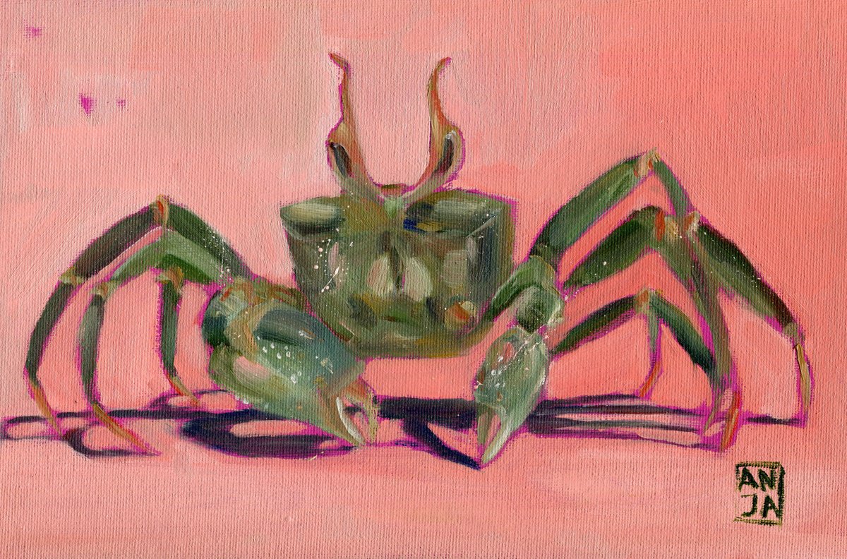 Crab by Anja Rudko