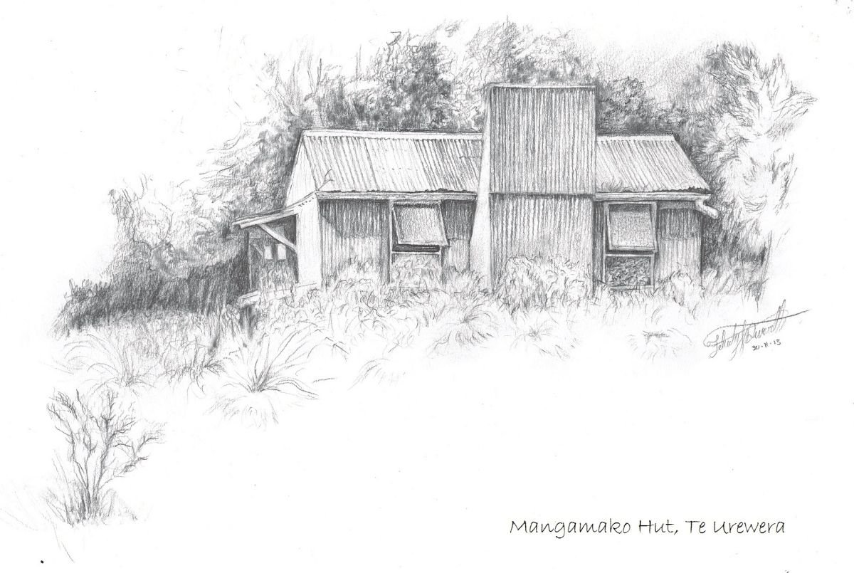 Mangamako Hut by Felicity Bergstrom