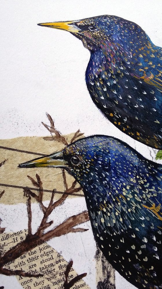 Starlings -  Framed ready to hang original artwork