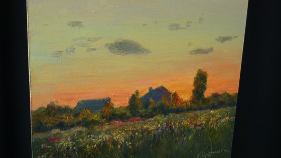 Sunset Over The Meadow