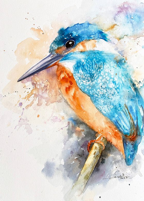 Kingfisher Kraig