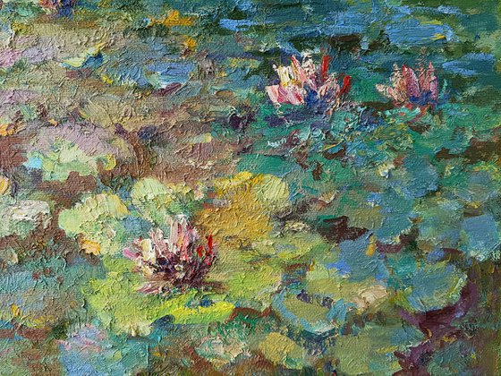 Water Lilies in autumn pond