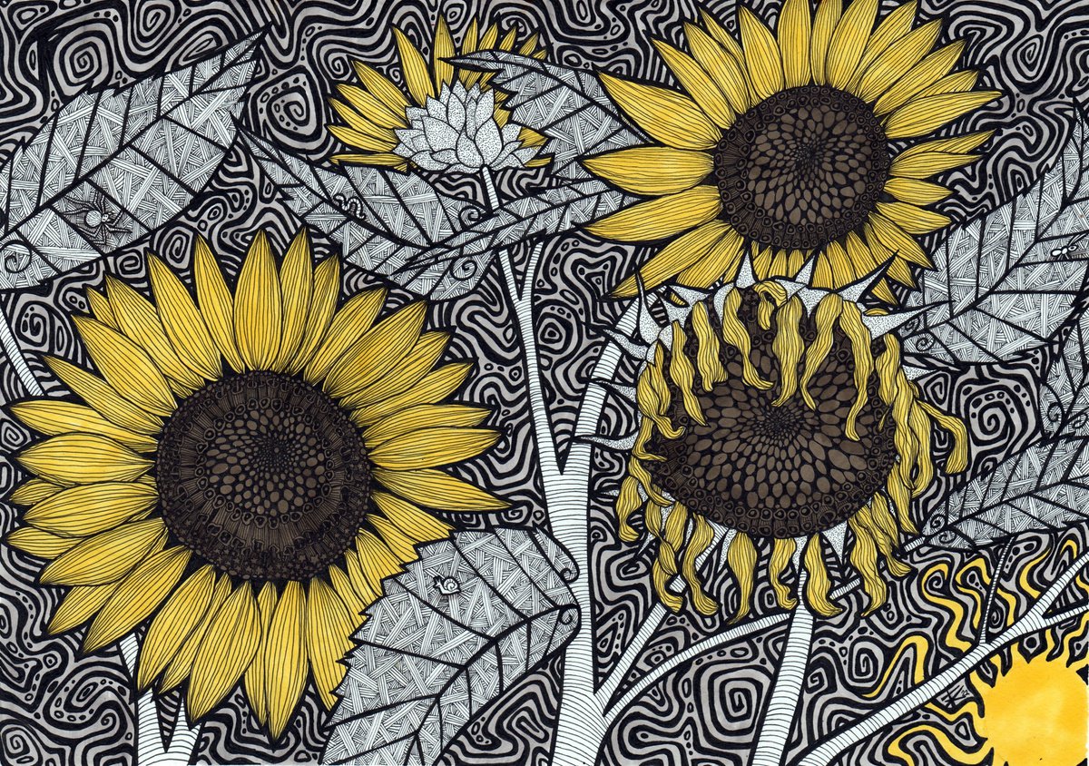 Illustrative Botanical Ink Drawing By Terri Smith, 20 X 16", The Fading Summer Sun, Original Artwork
