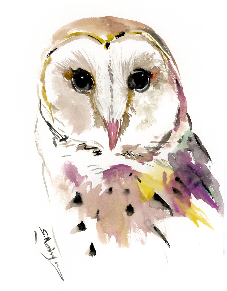Barn Owl by Suren Nersisyan