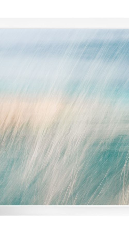 Lost in the Dunes I by Lynne Douglas