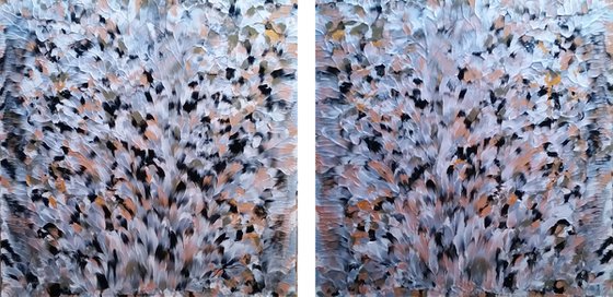 Black Diamond | Diptych