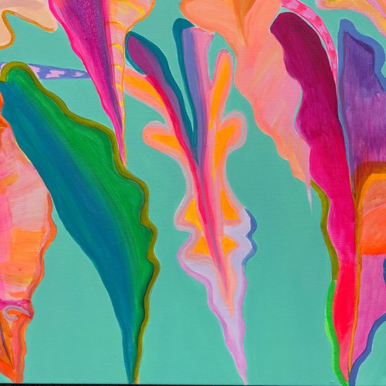 'Rainbow Alocasia'