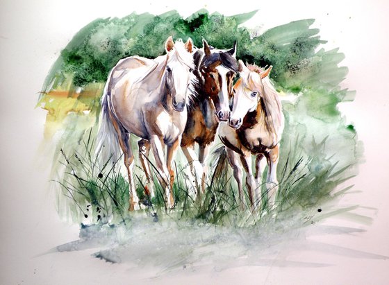 Horses on the field