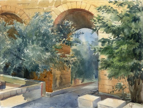 Olive trees near the ancient aqueduct on the island of Malta. by SVITLANA LAGUTINA