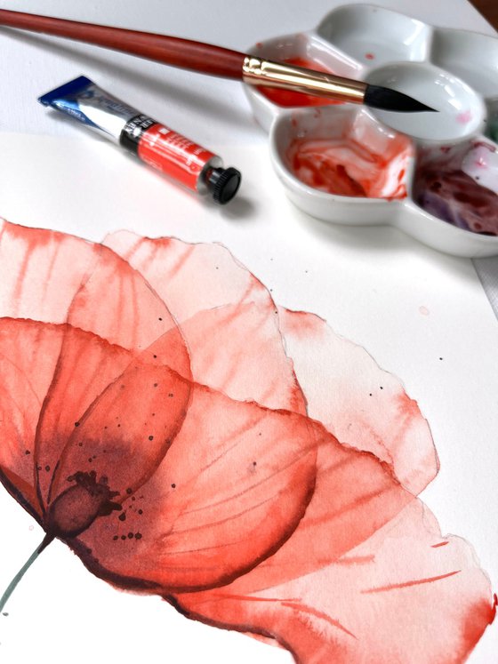 A red Poppy