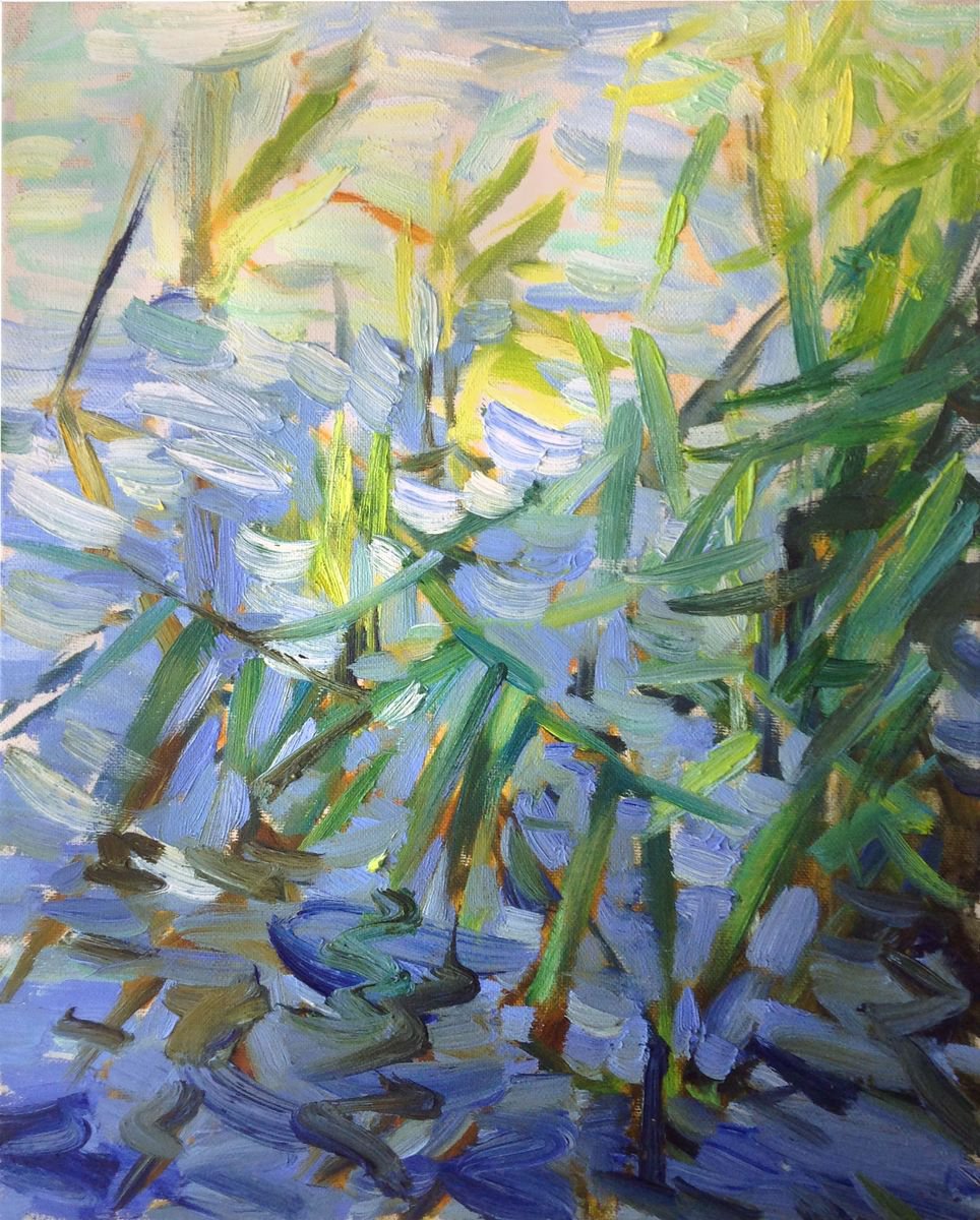 Morning river. Pond light oil painting sedge water nature by Nataliia Nosyk