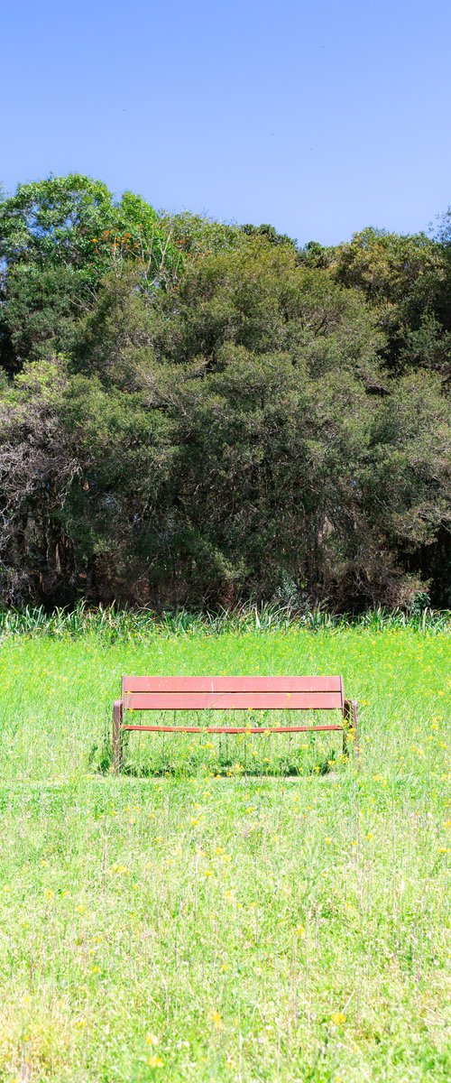 Bench by Rafael Campezato