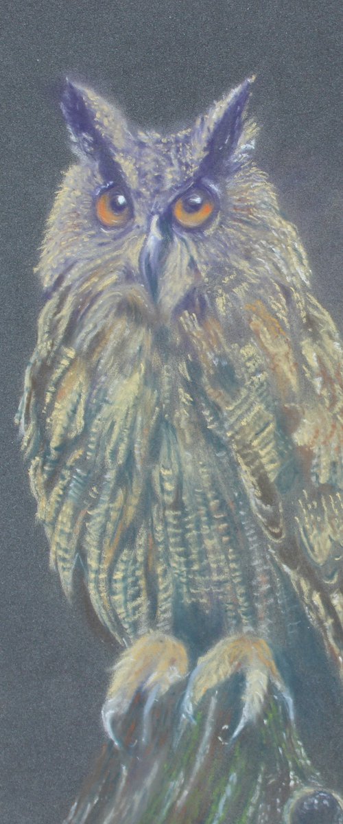 Wise Old Owl by Deborah Jayne Young