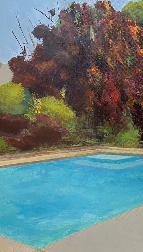 Mountain Aquatics by MaryAnne McKernie