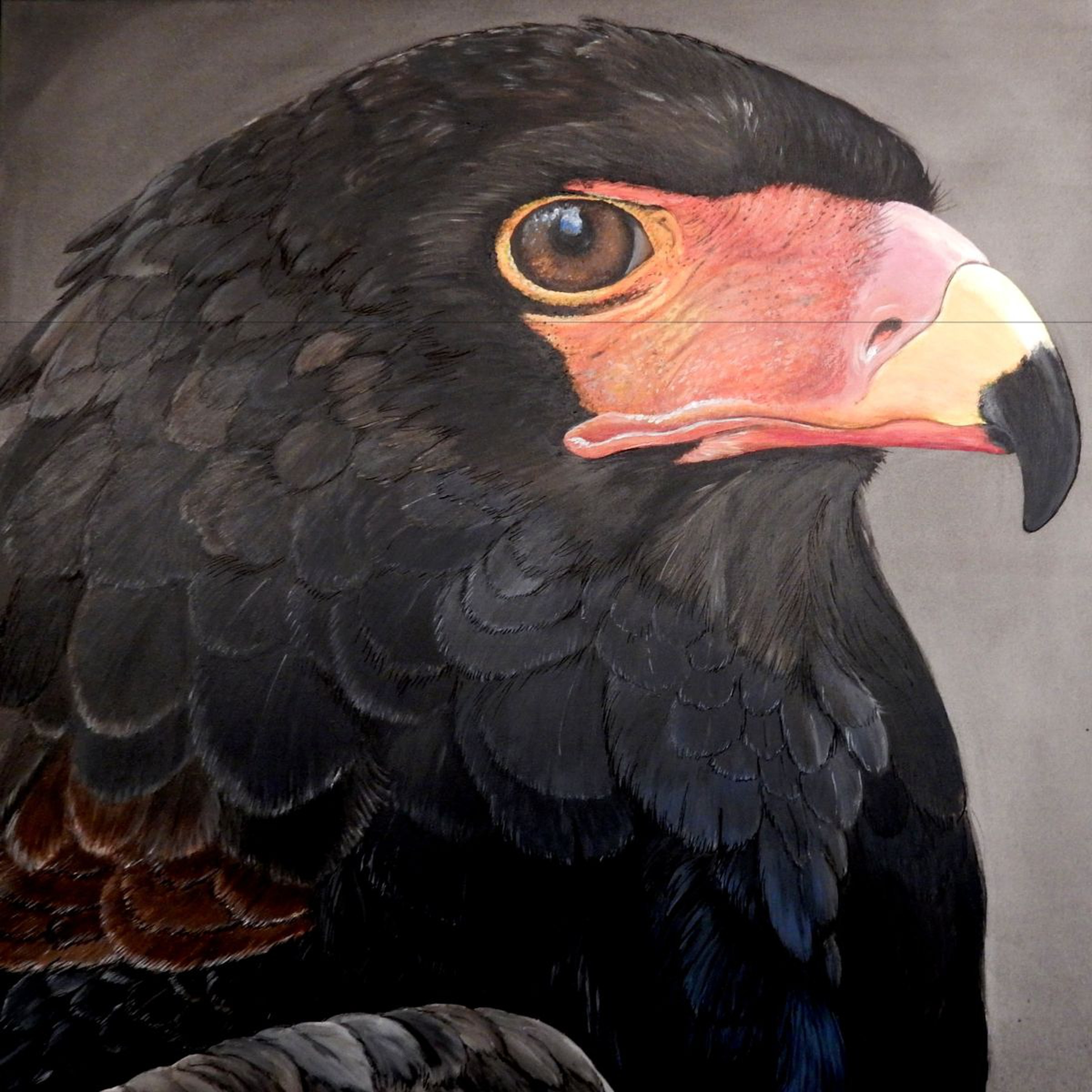 African Eagle Acrylic Painting By Bente Jepsen Artfinder