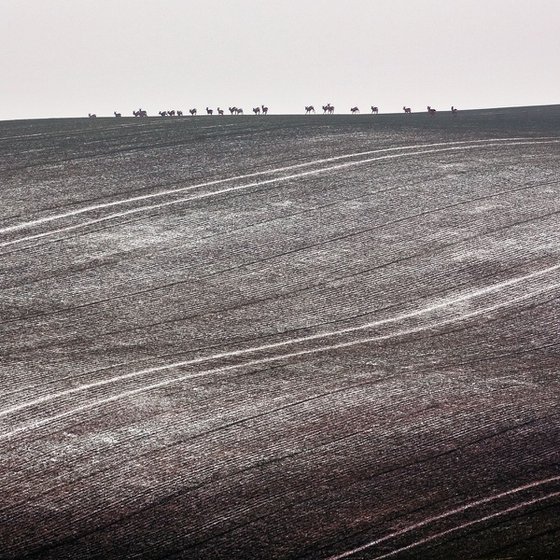 Abstract winter landscape with deers