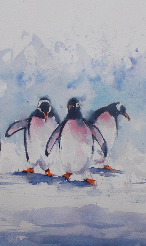 penguins 3 by Giorgio Gosti