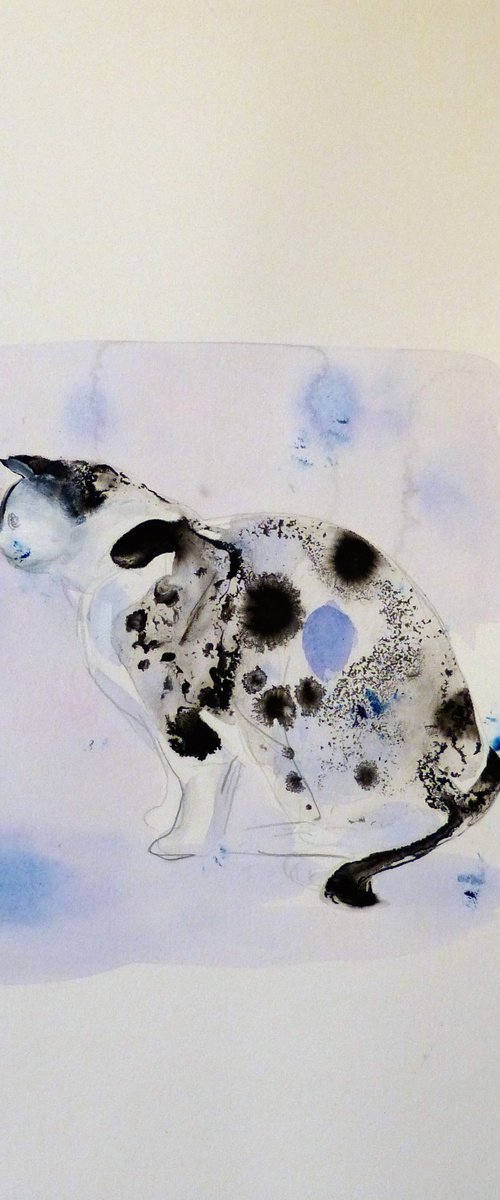 The Blue Spotty Cat, 29x42 cm by Frederic Belaubre