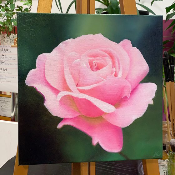 Luminous Rose