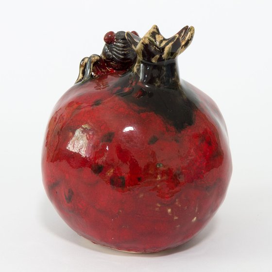 Cicada and pomegranate