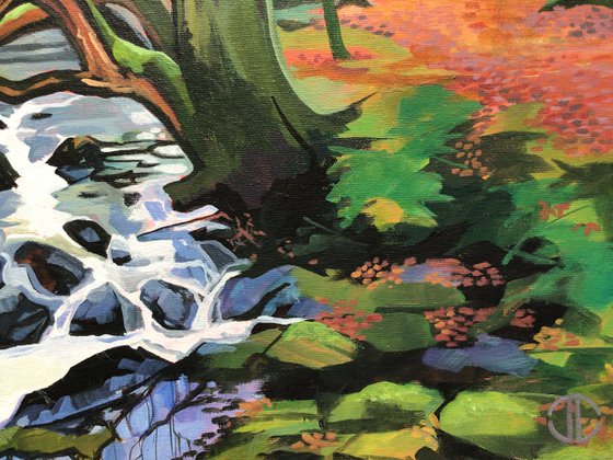 The Old Oak On The Shimna