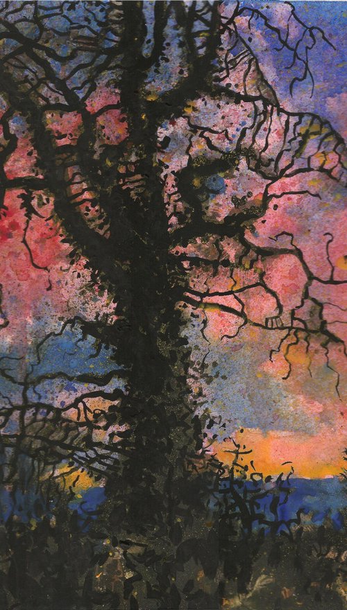 Old Oak by Zoe Elizabeth Norman