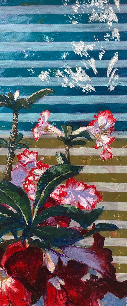 Desert rose by the window by John Cottee