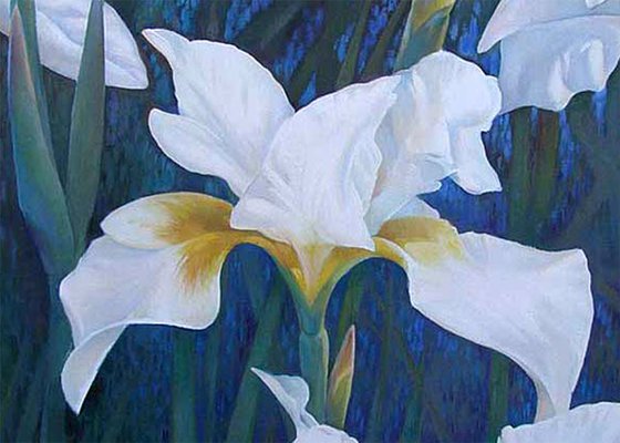 White Irises