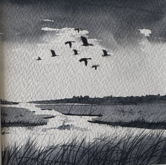 Geese over marshes