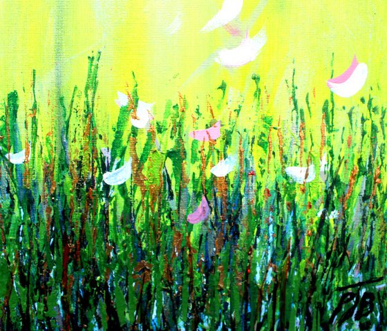 Magnolia Spring