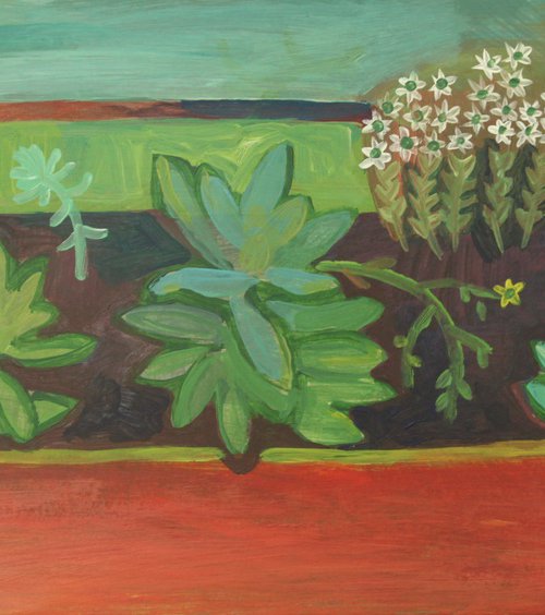 My plants by Marina Gorkaeva