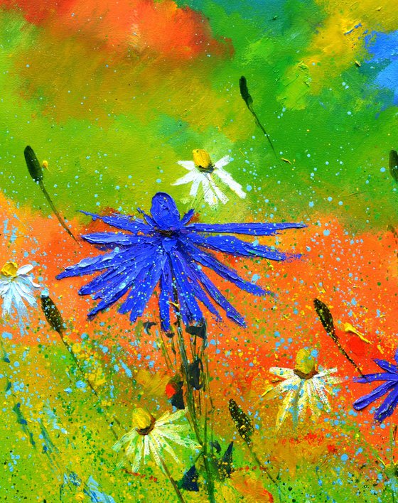 Wild flowers - 7723