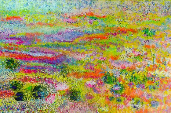The Lily Pond 2025