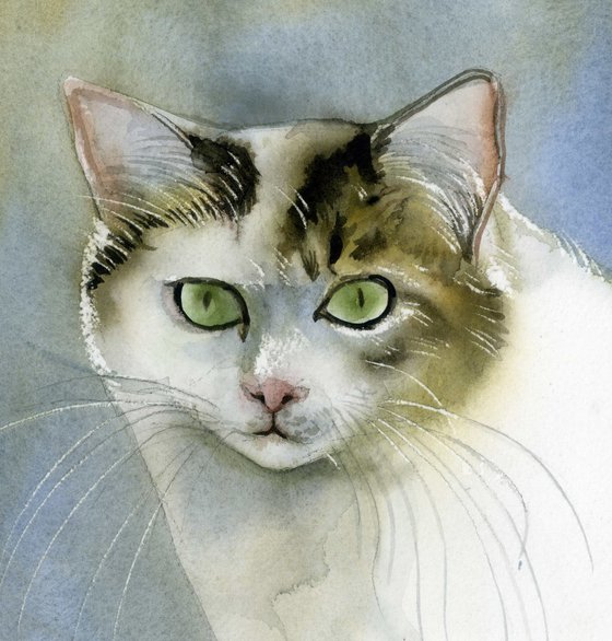 yellow and white cat