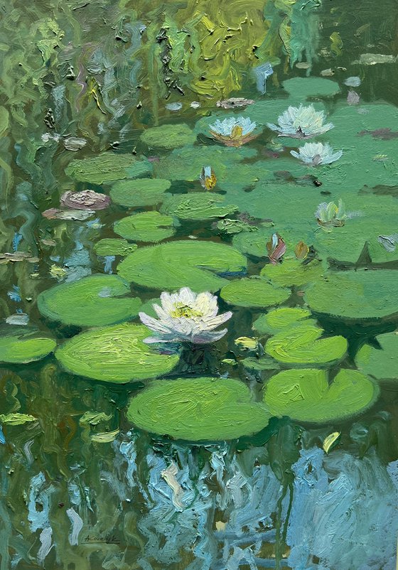 Water Lilies III