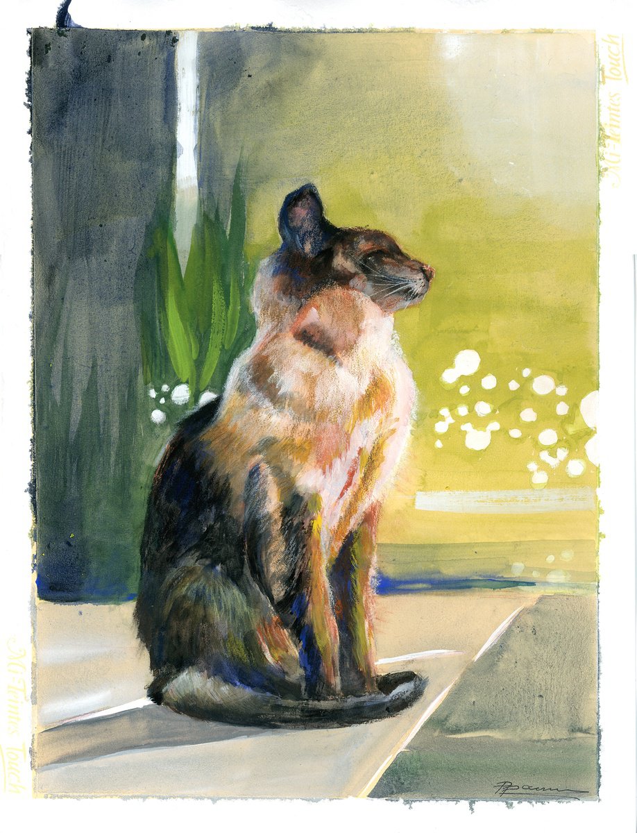 Siamese cat by Olga Shefranov (Tchefranova)