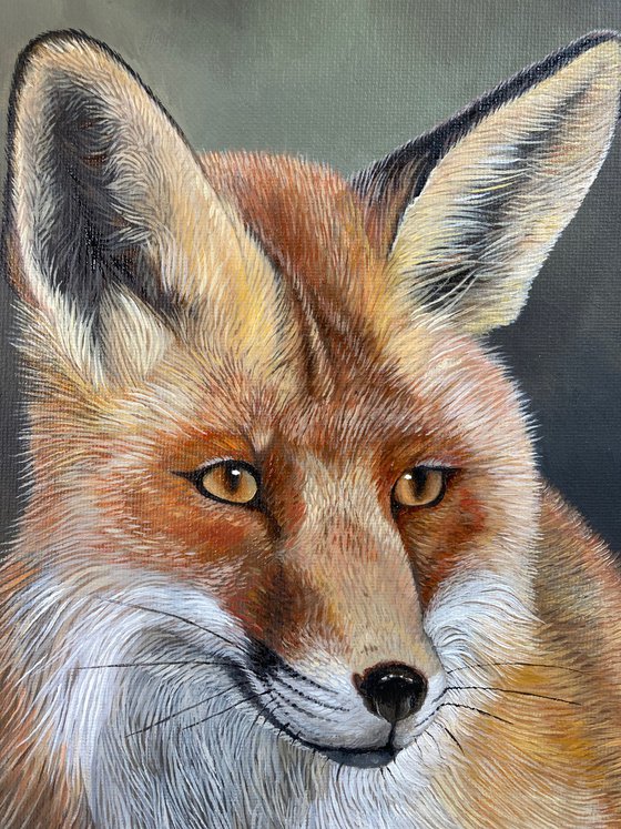 Red Fox