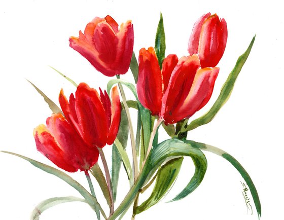 Tulips from Garden