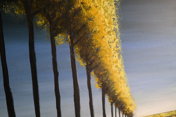 Autumn's yellows III- Fields and Colors Series